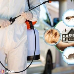 pest control services in pune pimpri chinchwad